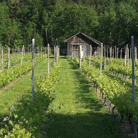 Chalet Saint-Thomas L'Anse-Saint-Jean Luaran gambar