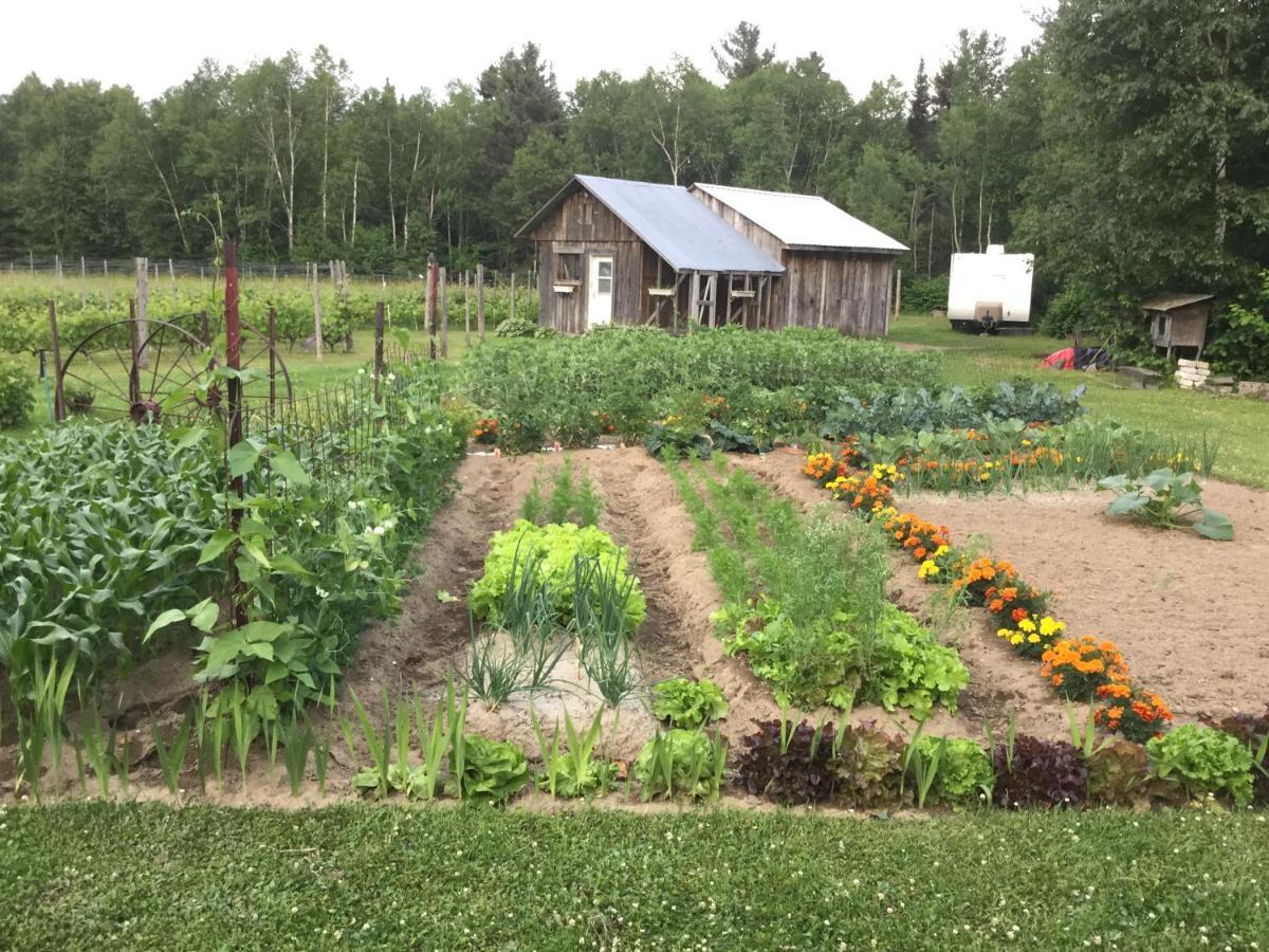 Chalet Saint-Thomas L'Anse-Saint-Jean Luaran gambar