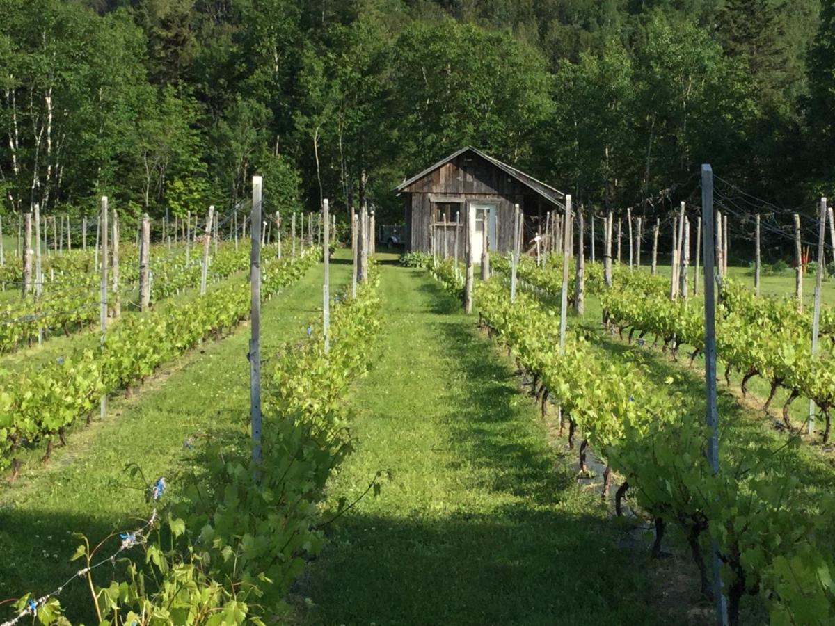 Chalet Saint-Thomas L'Anse-Saint-Jean Luaran gambar